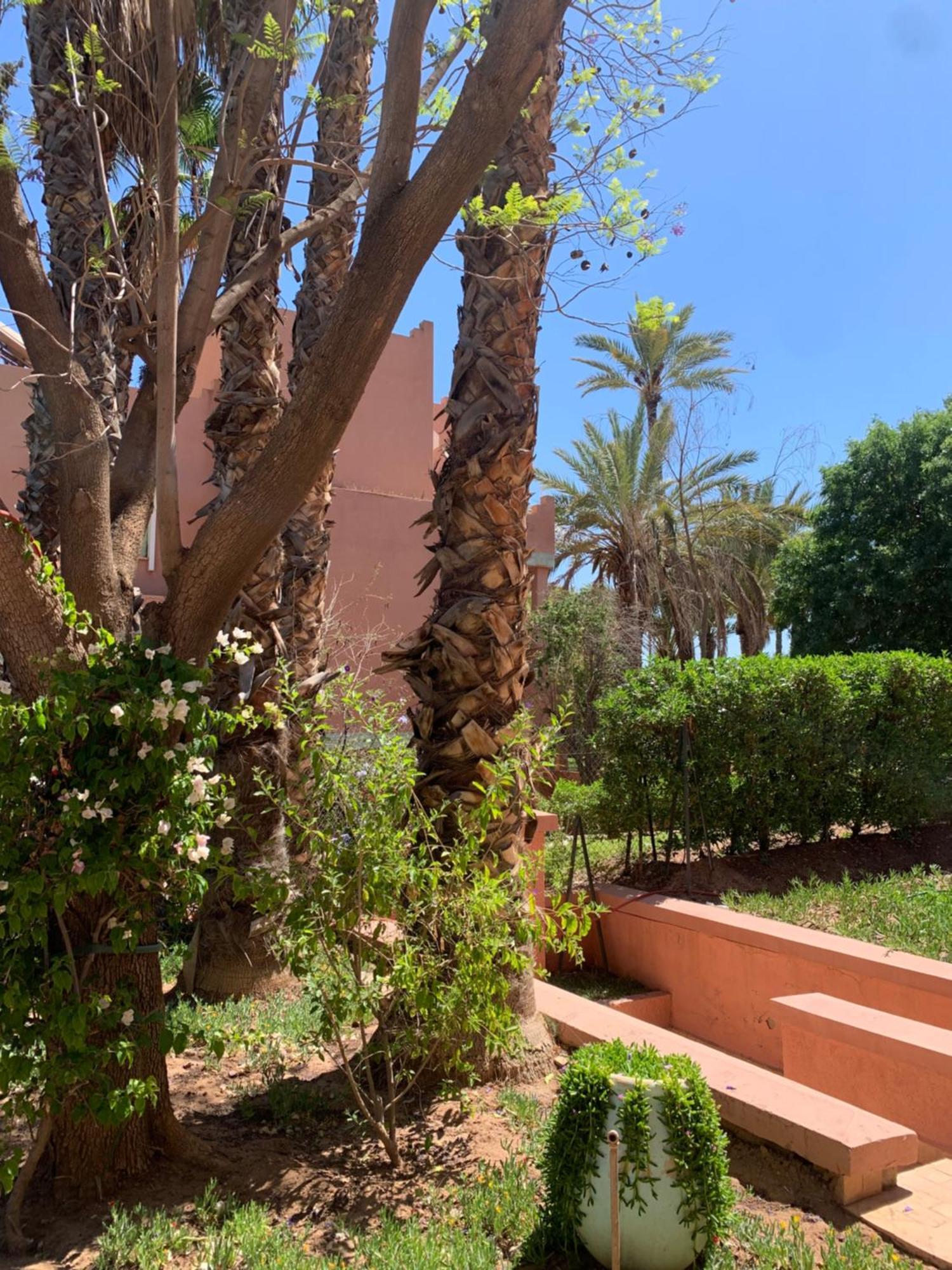 Villa Avec Piscine Privatisee A La Palmeraie Marrakesh Exterior photo