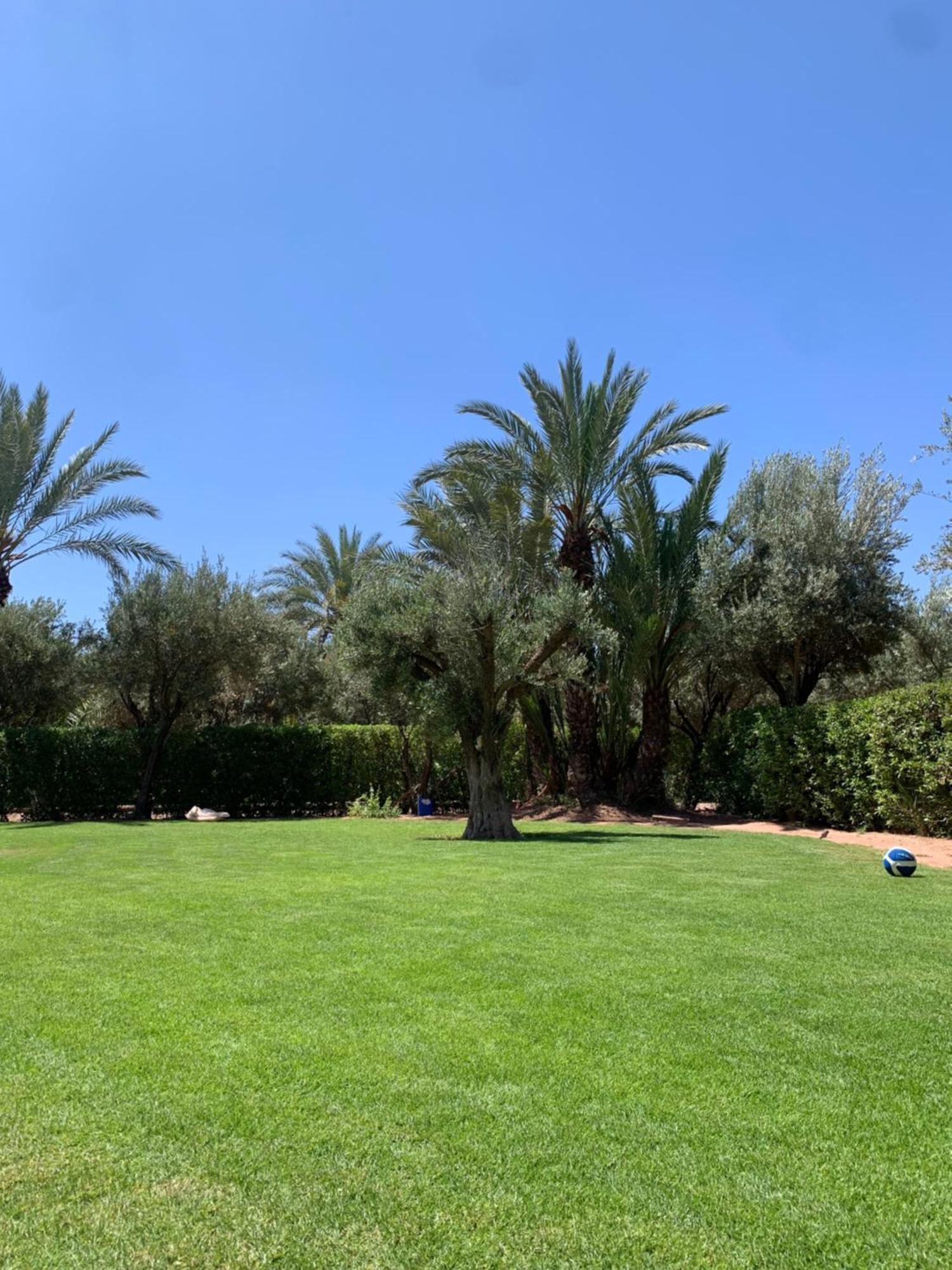 Villa Avec Piscine Privatisee A La Palmeraie Marrakesh Exterior photo