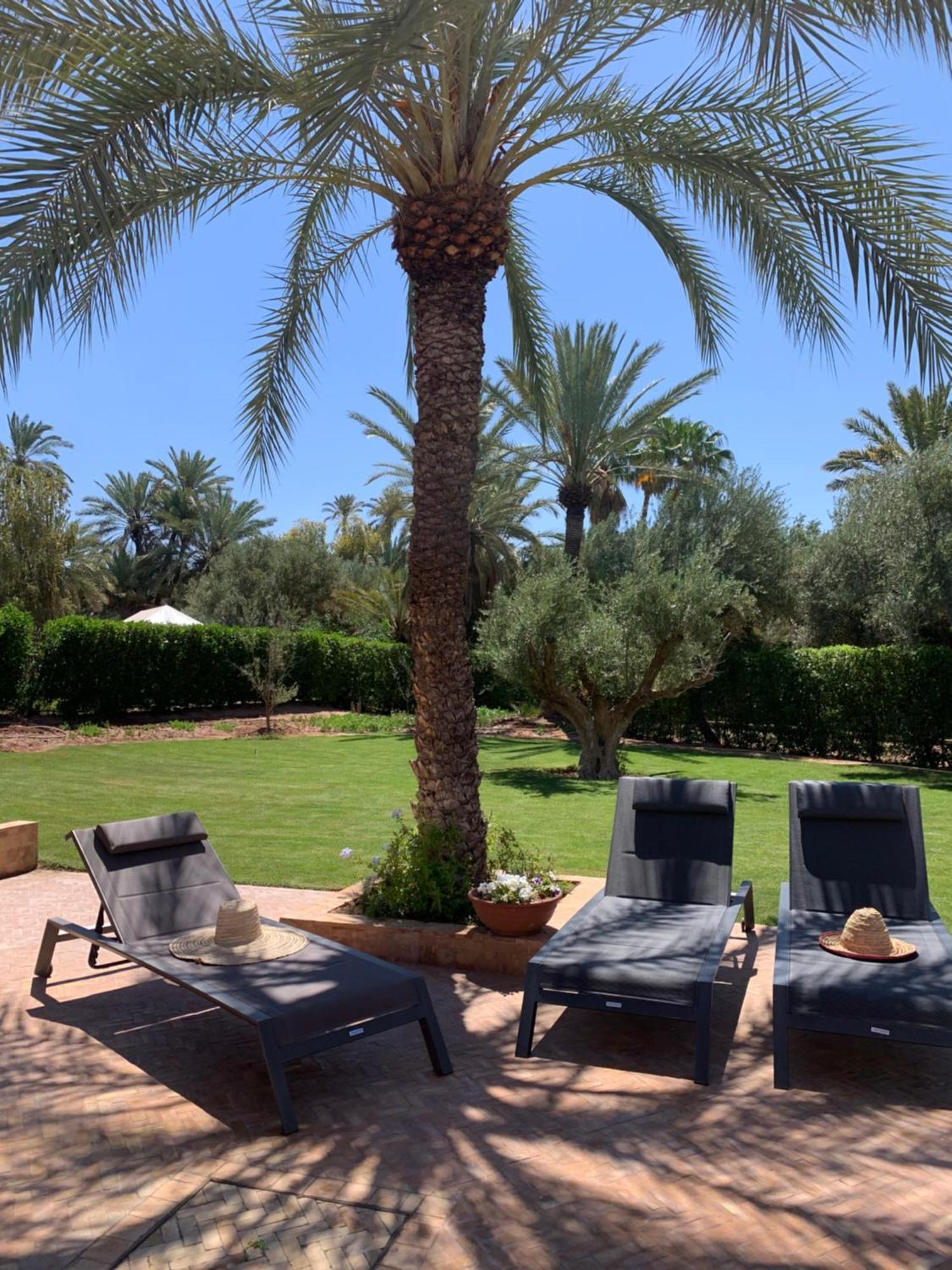 Villa Avec Piscine Privatisee A La Palmeraie Marrakesh Exterior photo