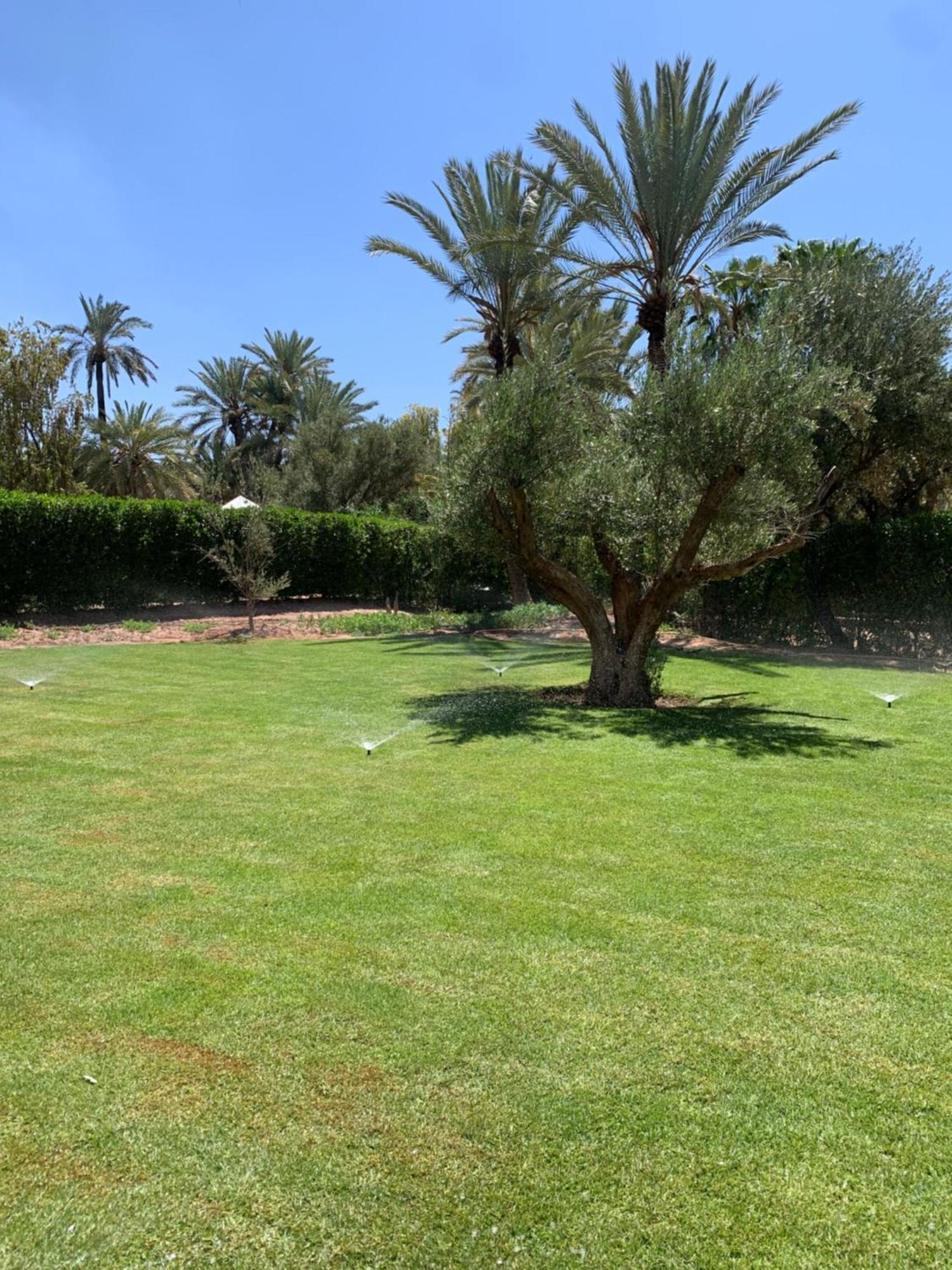 Villa Avec Piscine Privatisee A La Palmeraie Marrakesh Exterior photo
